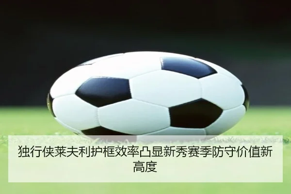 独行侠莱夫利护框效率凸显新秀赛季防守价值新高度